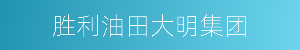 胜利油田大明集团的同义词