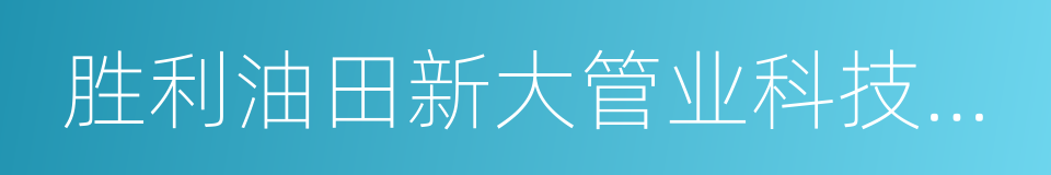 胜利油田新大管业科技发展有限责任公司的同义词