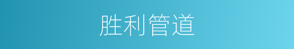 胜利管道的同义词