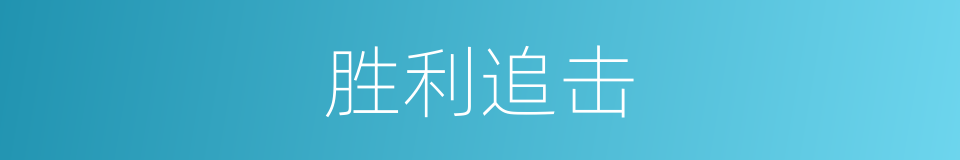 胜利追击的同义词