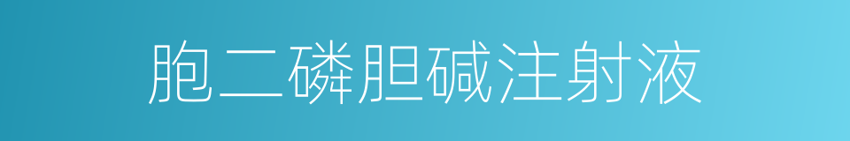 胞二磷胆碱注射液的同义词