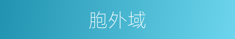 胞外域的同义词