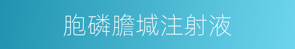 胞磷膽堿注射液的同義詞