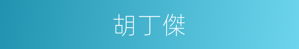 胡丁傑的同義詞