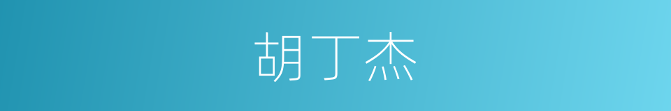 胡丁杰的同义词