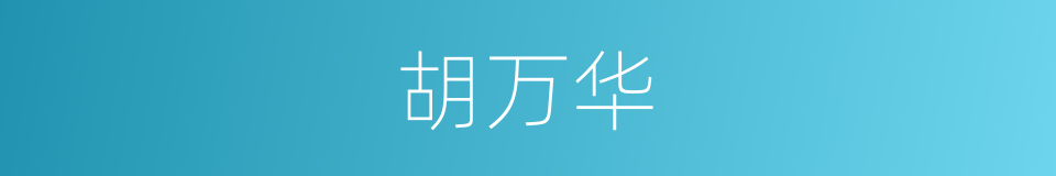 胡万华的同义词