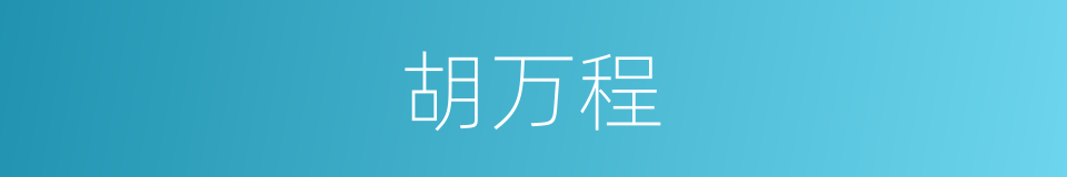 胡万程的同义词