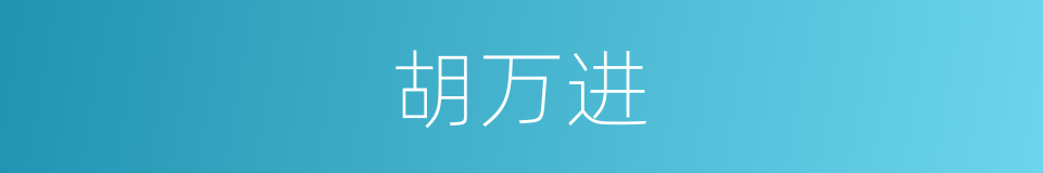 胡万进的同义词
