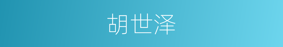 胡世泽的同义词