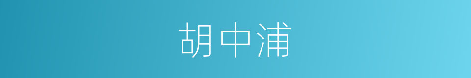 胡中浦的同义词