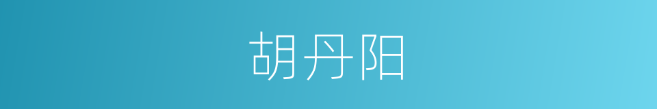 胡丹阳的同义词