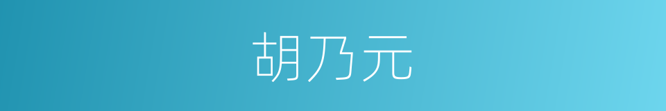 胡乃元的同义词