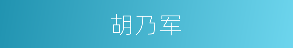 胡乃军的同义词