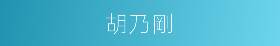 胡乃剛的同義詞