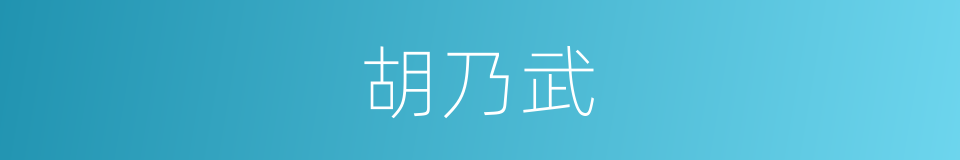 胡乃武的意思