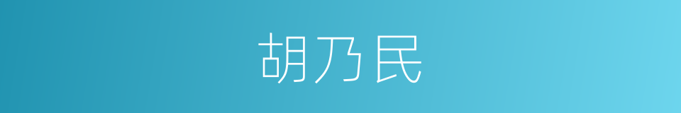 胡乃民的意思