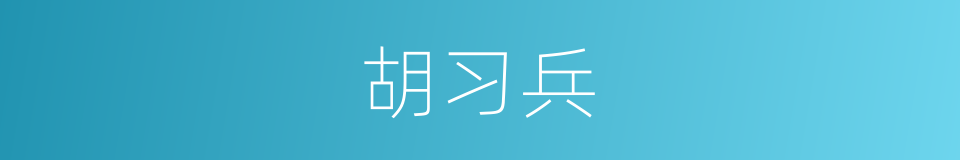 胡习兵的同义词