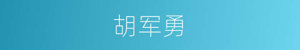 胡军勇的同义词