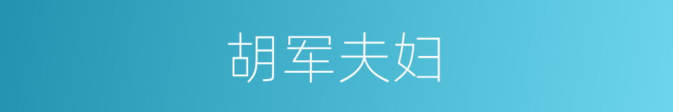 胡军夫妇的同义词