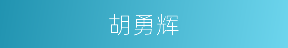胡勇辉的同义词
