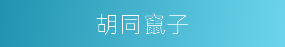 胡同竄子的同義詞