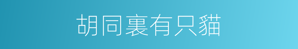 胡同裏有只貓的同義詞