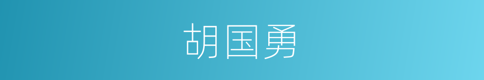 胡国勇的同义词