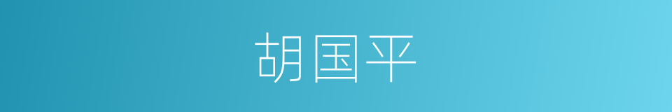 胡国平的同义词