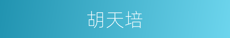 胡天培的同义词