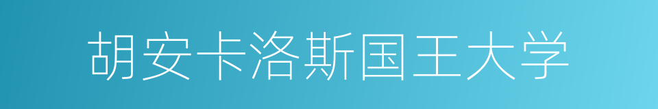 胡安卡洛斯国王大学的同义词