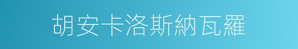 胡安卡洛斯納瓦羅的同義詞
