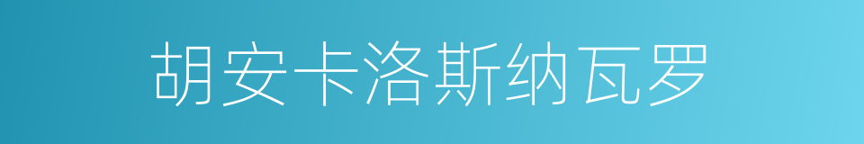 胡安卡洛斯纳瓦罗的同义词