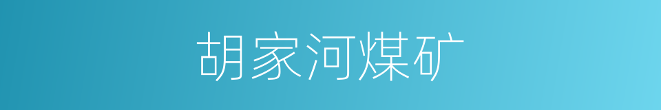 胡家河煤矿的同义词