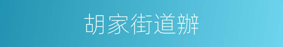 胡家街道辦的同義詞