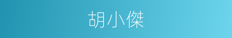 胡小傑的同義詞