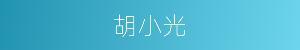 胡小光的同义词