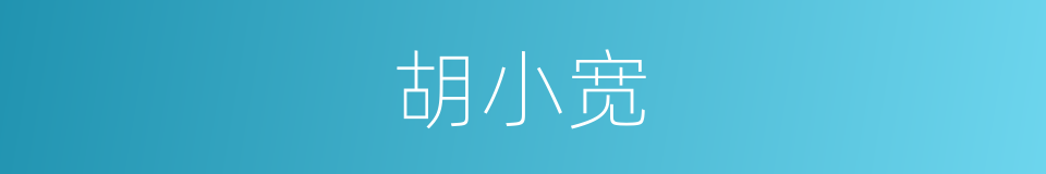胡小宽的同义词