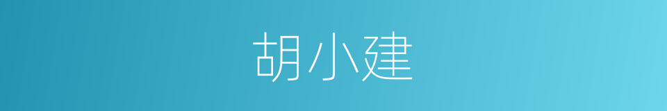 胡小建的同义词