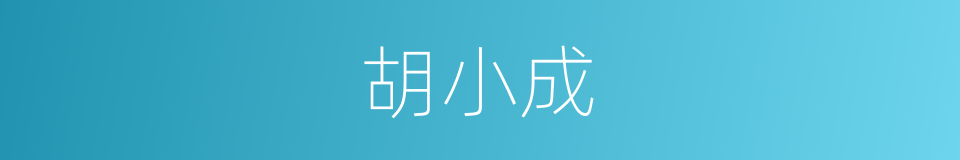 胡小成的同义词