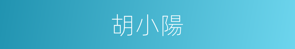 胡小陽的同義詞