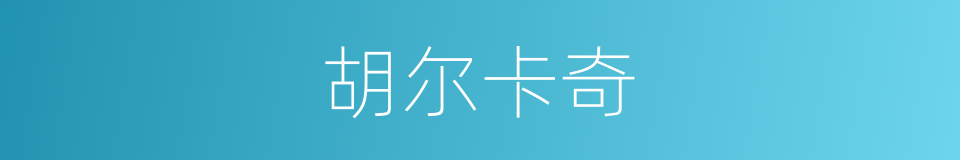 胡尔卡奇的同义词