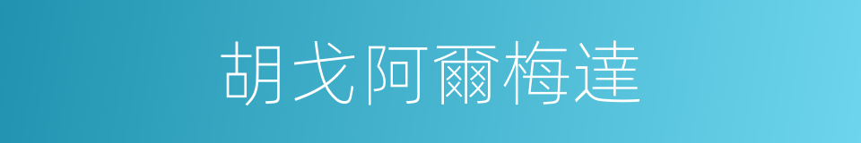 胡戈阿爾梅達的同義詞