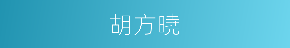 胡方曉的同義詞