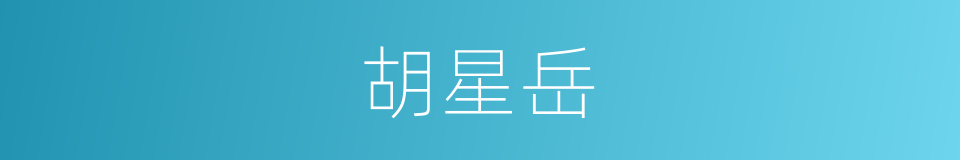 胡星岳的同义词