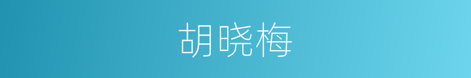 胡晓梅的同义词