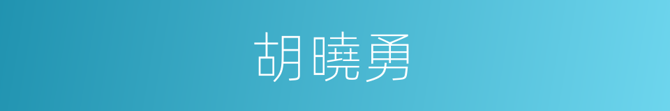 胡曉勇的同義詞