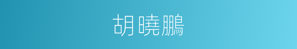 胡曉鵬的同義詞