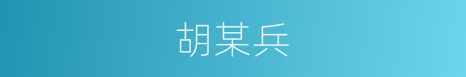 胡某兵的同义词