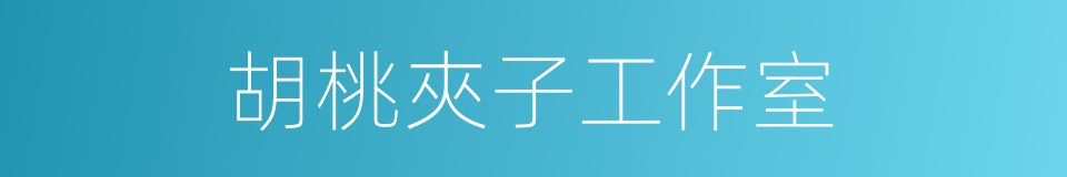 胡桃夾子工作室的同義詞