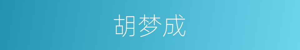 胡梦成的同义词
